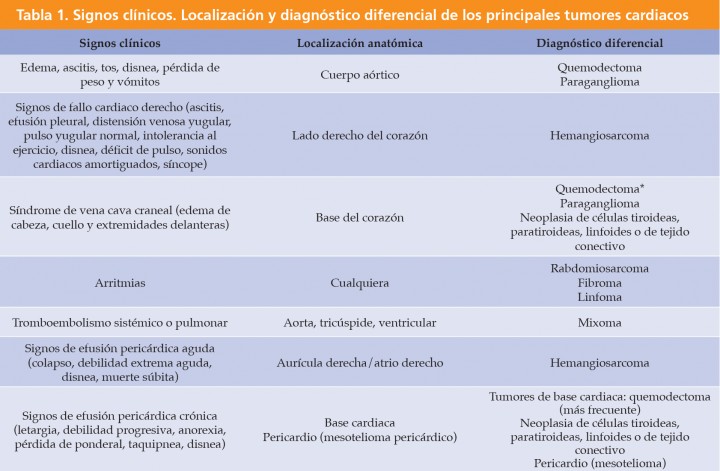 is mesothelioma a non small cell cancer