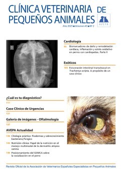 Revista AVEPA