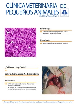 Revista AVEPA