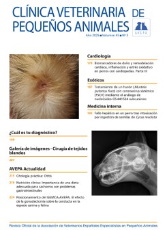 Revista AVEPA