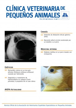 Revista AVEPA